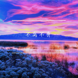 向阳绽放