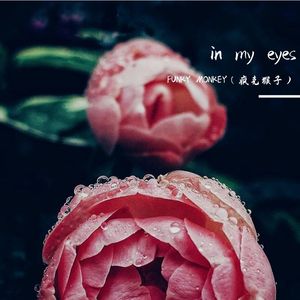 IN MY EYES