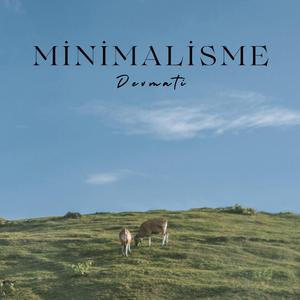 Minimalisme