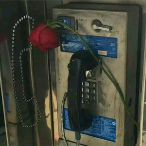 连衣裙（片段）