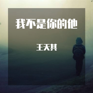 欧阳鹏oyp-我不是你的他(Remix)