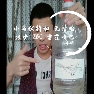 小鸟伏特加 无情哈拉少 ZBC 雷霆嘎巴