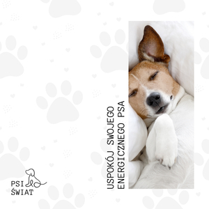 Muzyka Szczęśliwego Psa