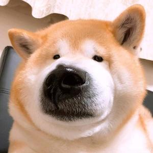 祥