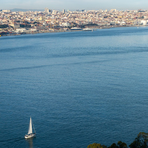 Where the Wind Takes Me