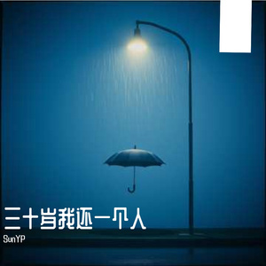 三十岁我还一个人