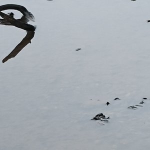 碎镜成我