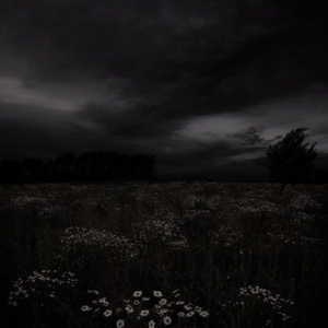 Cardigan (TikTok Best Part)