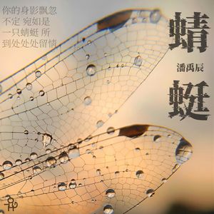 蜻蜓