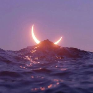 月光下我弹唱着你