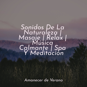 Canción de Cuna del Océano Disolviéndose