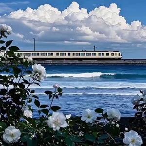 《纸飞机与远方》