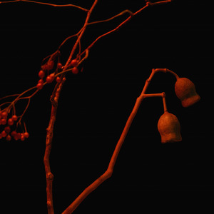 報復 (feat. Yohji Igarashi)