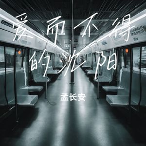 爱而不得的沈阳