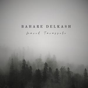 Bahare Delkash
