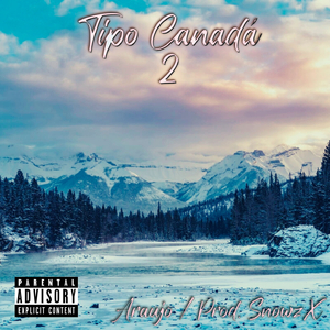 Tipo Canadá 2