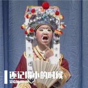 还记得小的时候 伴奏