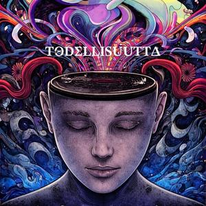 Todellisuutta