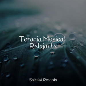 Vibraciones Tranquilas