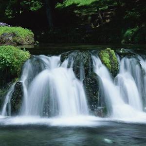 那个多少人围观