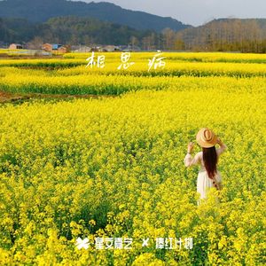 男算妇上坟.第五段