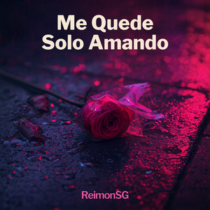 Me Quede Solo Amando
