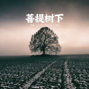 莲花开(禅修曲)