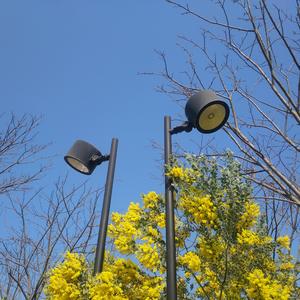 爱就一个字（cover:V仔）（翻自 张信哲）