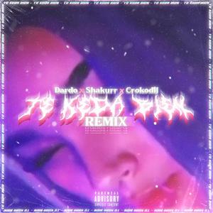 TE KEDA BIEN (feat. Shakurr & Crokodil) (REMIX)