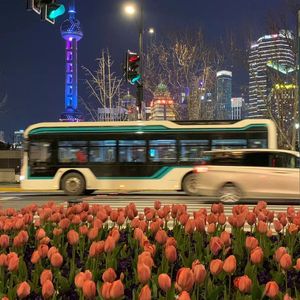 少年 （Prod.by Morrow ）