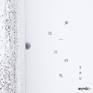 穿过一片白色(Original Mix)