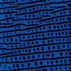 after kajyadhi fu bushi