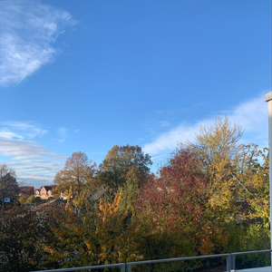 Ouah Ahh (3 Little Guys Singing)