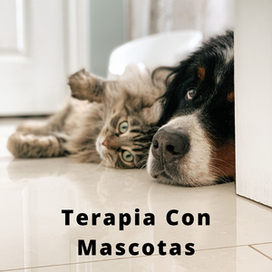 Mascotas y Cuencos Binaurales