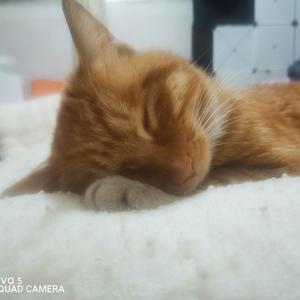 张宇-月亮惹的祸（ remix）