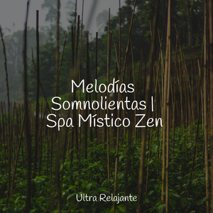 Niebla De Enfriamiento