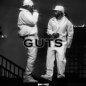 Free Metro Boomin x Future Type Beat “Guts”