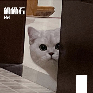 偷偷看 (Prod.Gr33nart Beats)