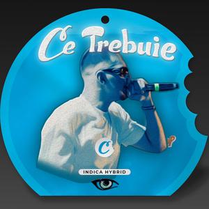 Ce Trebuie