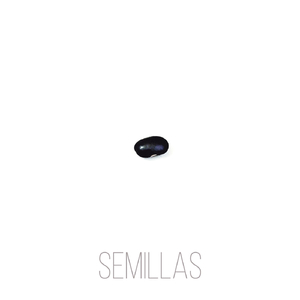 Semillas