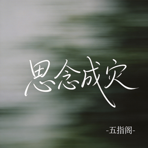 思念成灾（抖音热播版）