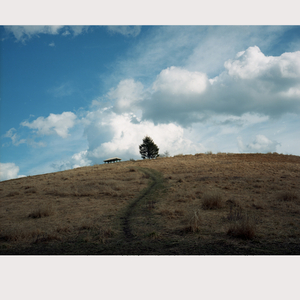 The Nature of Love (Animal Hospital Remix)