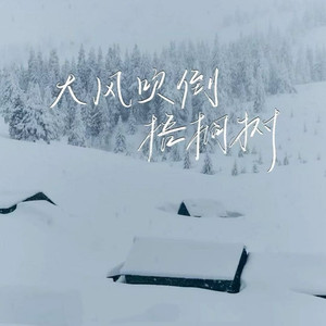 大风吹倒梧桐树 (生活版)