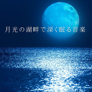 月夜の水面の静寂