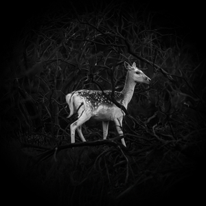 And When We Get There Everyone We Knew Will Be Waiting