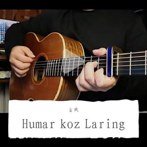 humar koz （迷人的眼睛）