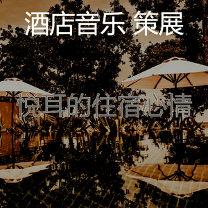 优美酒店鸡尾酒吧器乐