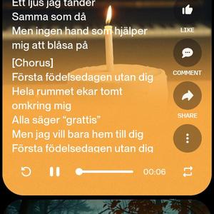 Första födelsedagen utan dig