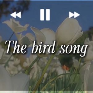 NIKTO AI-the bird song