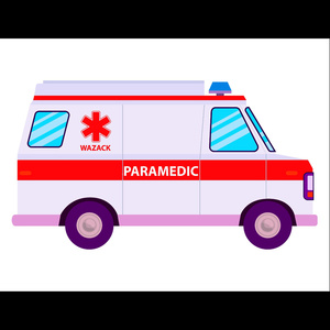 Paramedic